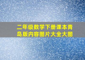 二年级数学下册课本青岛版内容图片大全大图