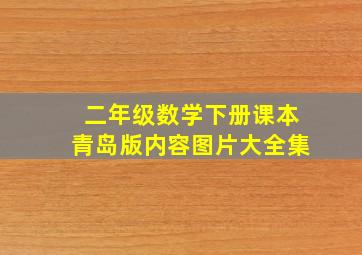 二年级数学下册课本青岛版内容图片大全集