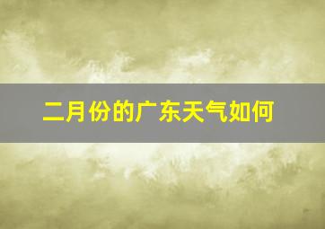 二月份的广东天气如何