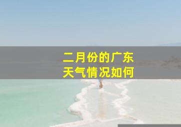 二月份的广东天气情况如何