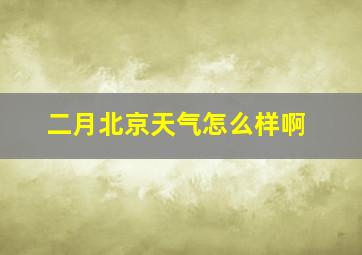 二月北京天气怎么样啊