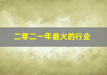 二零二一年最火的行业