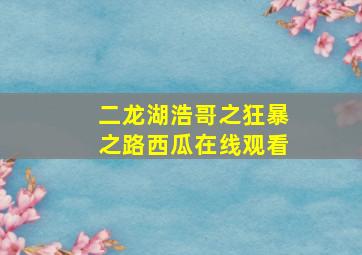 二龙湖浩哥之狂暴之路西瓜在线观看