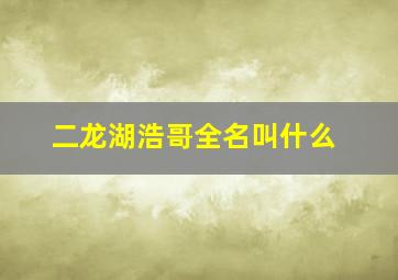 二龙湖浩哥全名叫什么