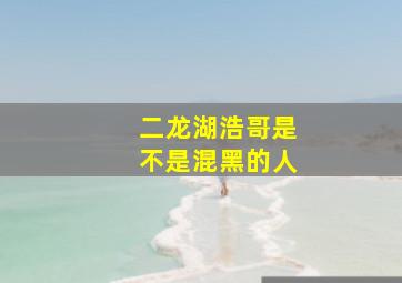 二龙湖浩哥是不是混黑的人