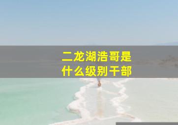 二龙湖浩哥是什么级别干部