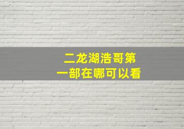 二龙湖浩哥第一部在哪可以看