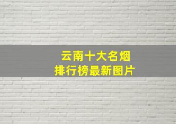 云南十大名烟排行榜最新图片