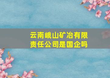 云南峨山矿冶有限责任公司是国企吗