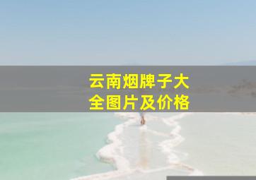 云南烟牌子大全图片及价格