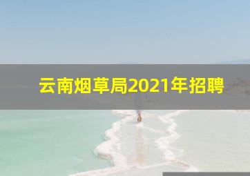 云南烟草局2021年招聘