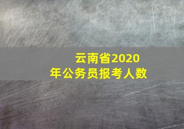 云南省2020年公务员报考人数