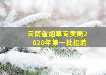 云南省烟草专卖局2020年第一批招聘