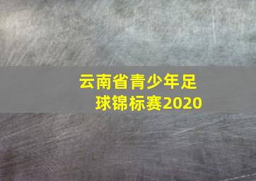 云南省青少年足球锦标赛2020