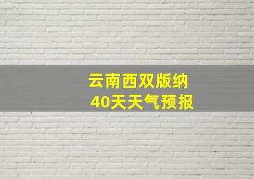 云南西双版纳40天天气预报