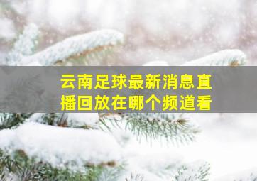 云南足球最新消息直播回放在哪个频道看