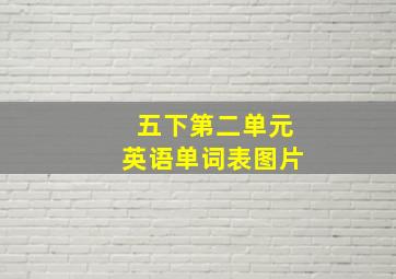 五下第二单元英语单词表图片