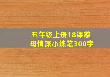 五年级上册18课慈母情深小练笔300字