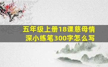 五年级上册18课慈母情深小练笔300字怎么写