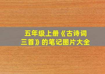 五年级上册《古诗词三首》的笔记图片大全