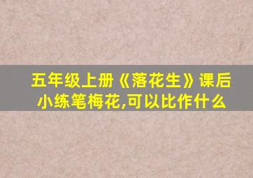 五年级上册《落花生》课后小练笔梅花,可以比作什么