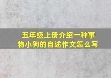 五年级上册介绍一种事物小狗的自述作文怎么写