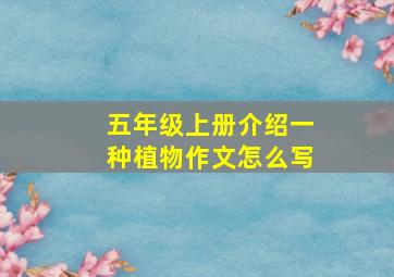 五年级上册介绍一种植物作文怎么写