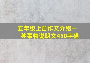 五年级上册作文介绍一种事物说明文450字猫