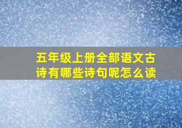 五年级上册全部语文古诗有哪些诗句呢怎么读