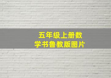 五年级上册数学书鲁教版图片