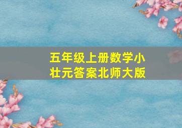 五年级上册数学小壮元答案北师大版