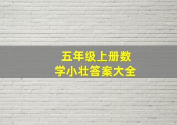 五年级上册数学小壮答案大全