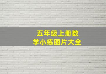 五年级上册数学小练图片大全