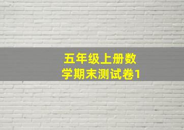 五年级上册数学期末测试卷1