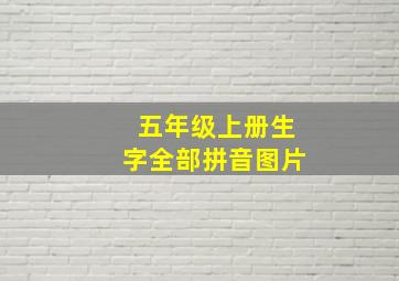 五年级上册生字全部拼音图片