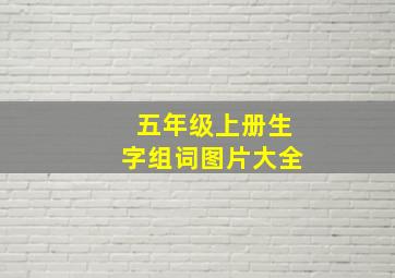 五年级上册生字组词图片大全