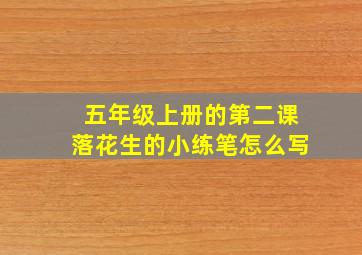 五年级上册的第二课落花生的小练笔怎么写