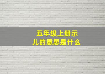 五年级上册示儿的意思是什么