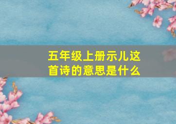 五年级上册示儿这首诗的意思是什么