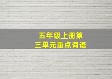 五年级上册第三单元重点词语