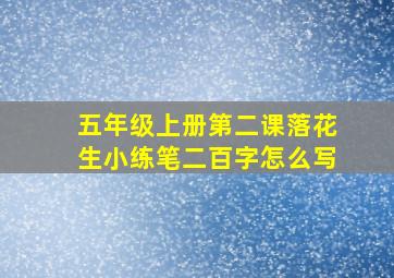 五年级上册第二课落花生小练笔二百字怎么写