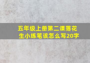 五年级上册第二课落花生小练笔该怎么写20字