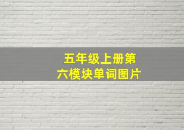 五年级上册第六模块单词图片