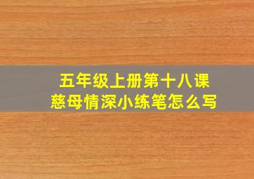 五年级上册第十八课慈母情深小练笔怎么写