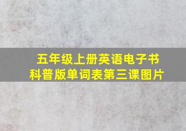 五年级上册英语电子书科普版单词表第三课图片