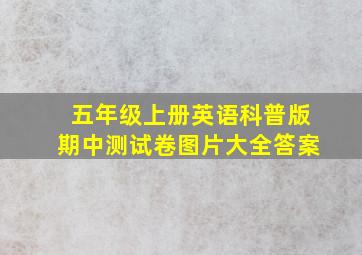 五年级上册英语科普版期中测试卷图片大全答案