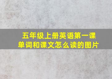 五年级上册英语第一课单词和课文怎么读的图片