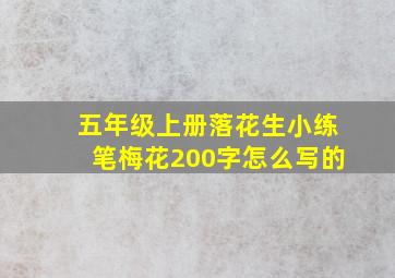 五年级上册落花生小练笔梅花200字怎么写的