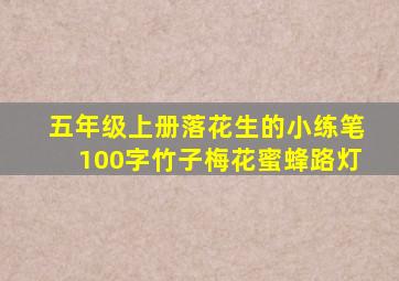 五年级上册落花生的小练笔100字竹子梅花蜜蜂路灯