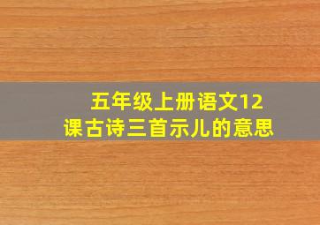 五年级上册语文12课古诗三首示儿的意思